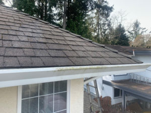 Gutters cleaned
